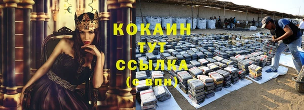 амф Няндома