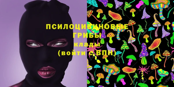 мяу мяу мука Абаза