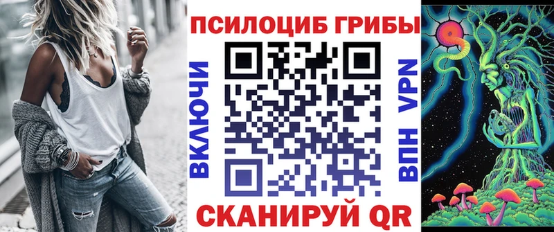 Галлюциногенные грибы Psilocybine cubensis продажа наркотиков Ртищево