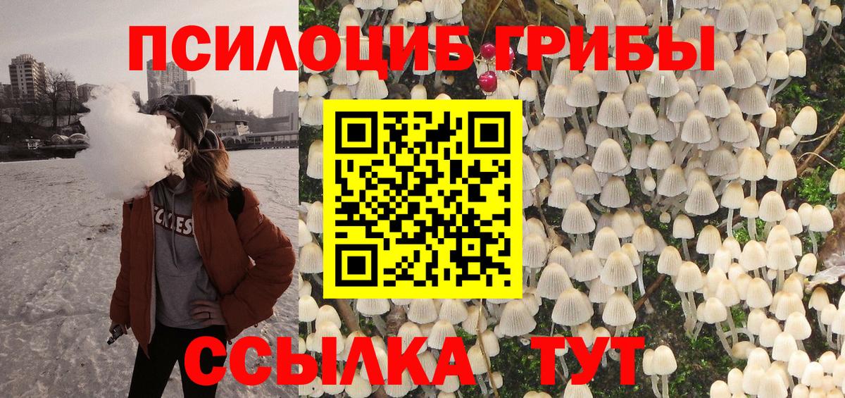 Галлюциногенные грибы Cubensis Ртищево